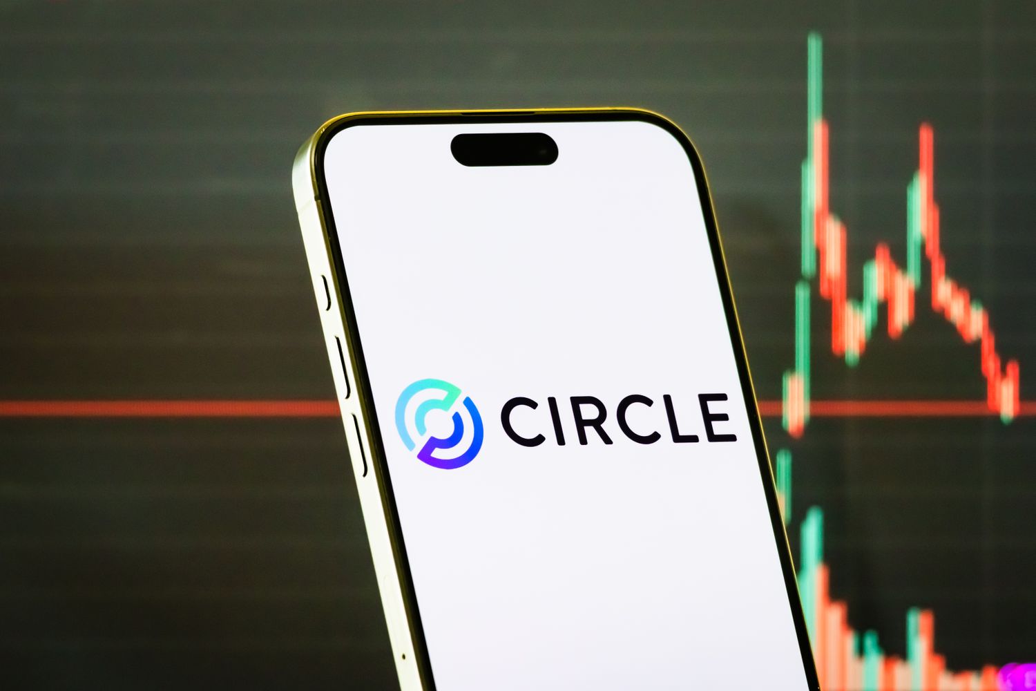 Circle Internet Group Stock saute à mesure que la circulation de la stablecoin USDC monte en flèche