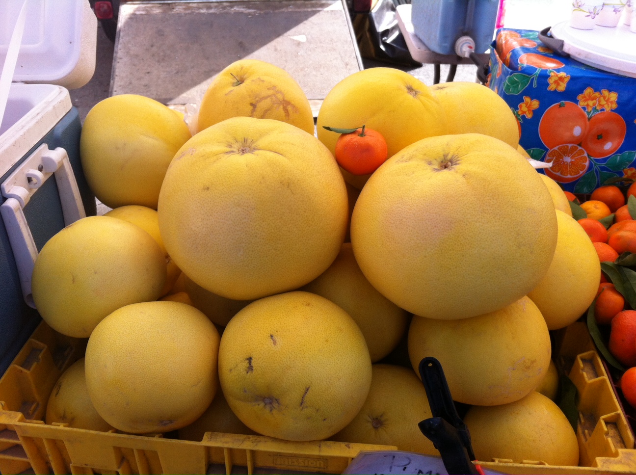 Big Pumelos Small Tangerine - un guide d'épargne basé sur les taxes que vous payez