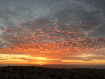 La liberté financière n’a pas de prix