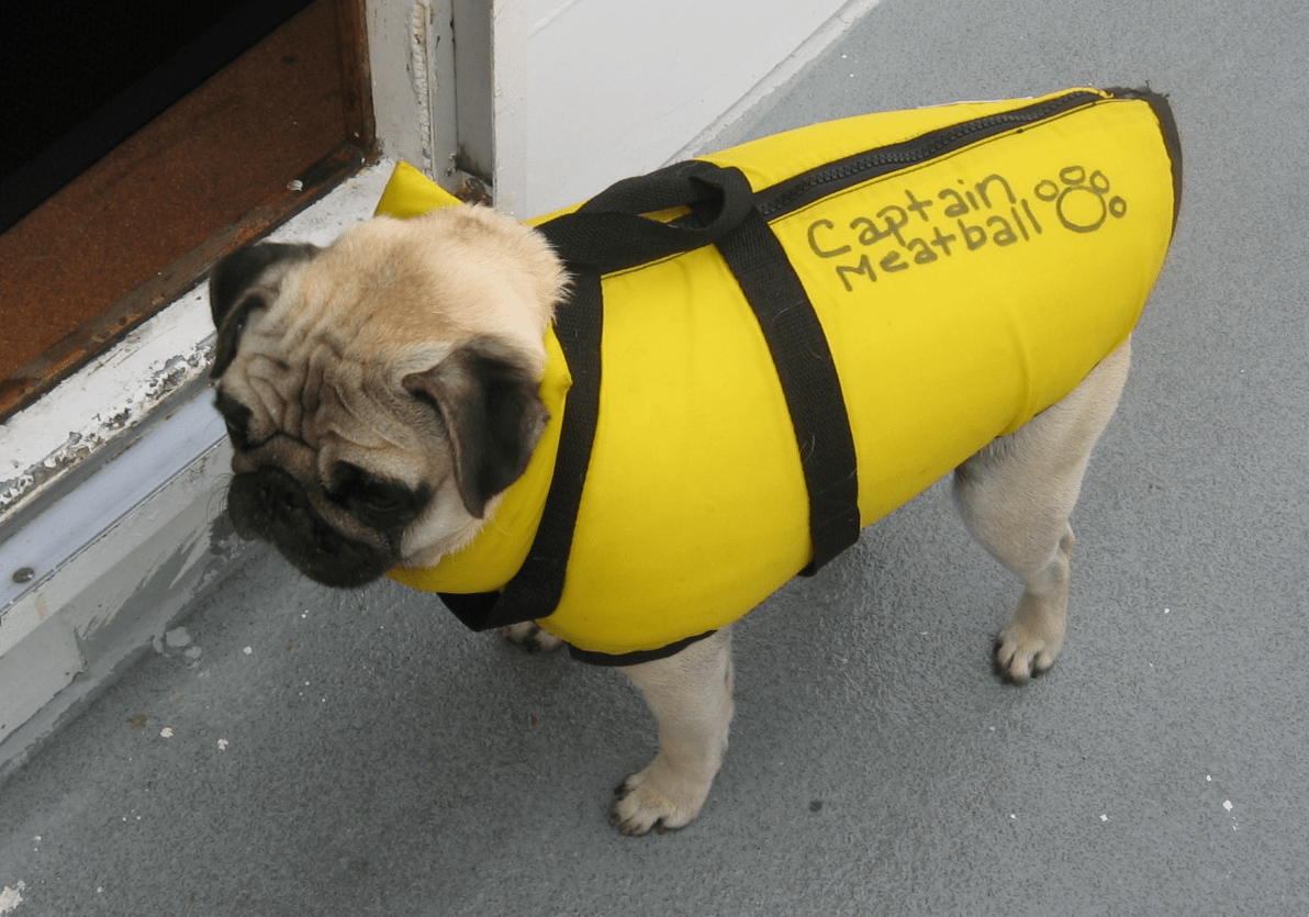 carlin-capitaine L’avantage d’être moyen sur le lieu de travail