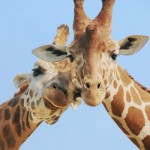 Gagner de l’argent est plus facile que nouer des relations