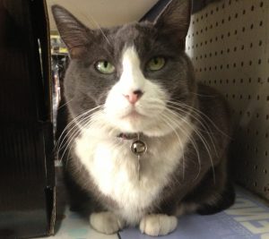 L'employeur profite des employés