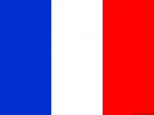 drapeau_français Argument sur la taxe forfaitaire