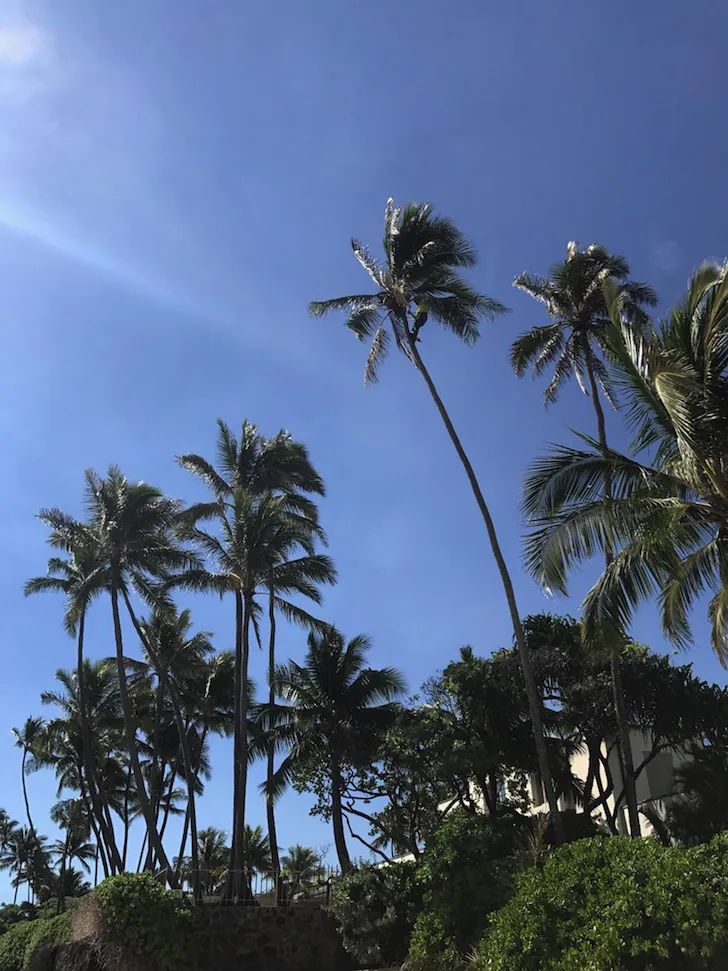 L'agitation hawaïenne