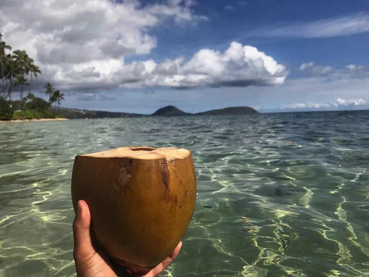 Noix de coco obtenue